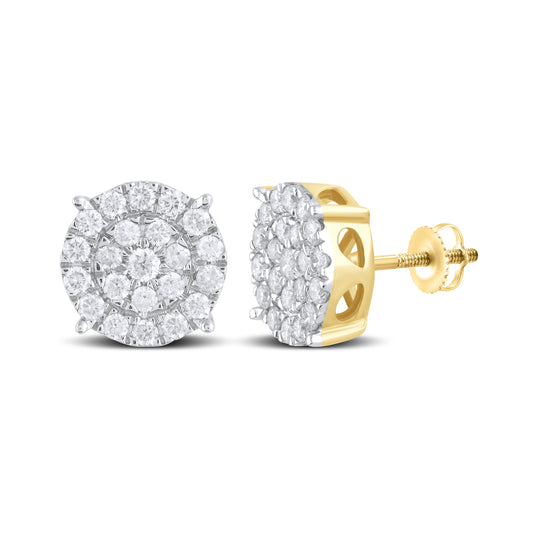 10kt Yellow Gold 0.75 CTW Natural Diamond Earrings