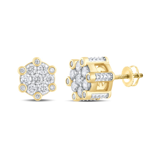 10kt Yellow Gold 1 CTW Natural Diamond Earrings