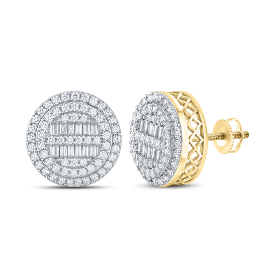 10kt Yellow Gold 0.75 CTW Natural Diamond Earrings
