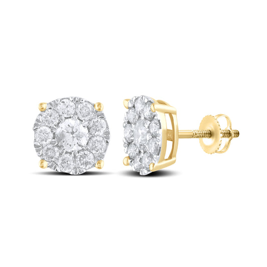 10kt Yellow Gold 0.98 CTW Natural Diamond Earrings