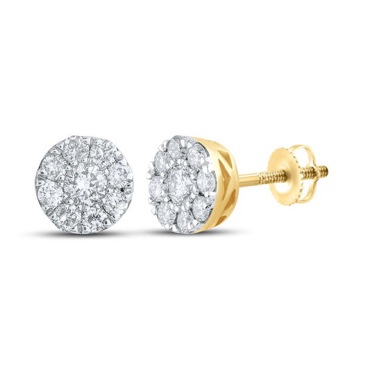10kt Yellow Gold 0.75 CTW Natural Diamond Earrings