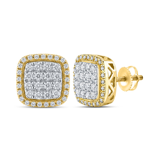 10kt Yellow Gold 0.45 CTW Natural Diamond Earrings