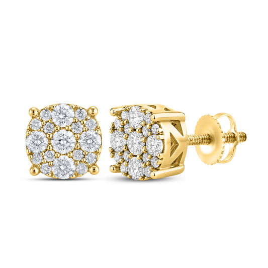 10kt Yellow Gold 0.42 CTW Natural Diamond Earrings