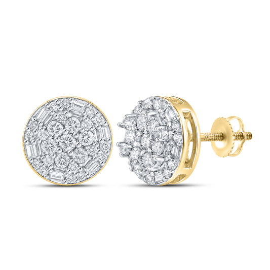 10kt Yellow Gold 0.78 CTW Natural Diamond Earrings
