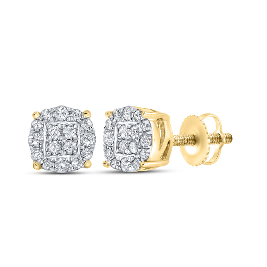 10kt Yellow Gold 0.26 CTW Natural Diamond Earrings