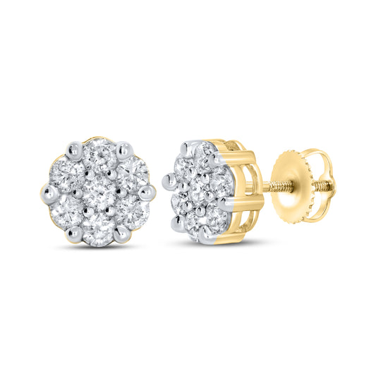 10kt Yellow Gold 1 CTW Natural Diamond Earrings
