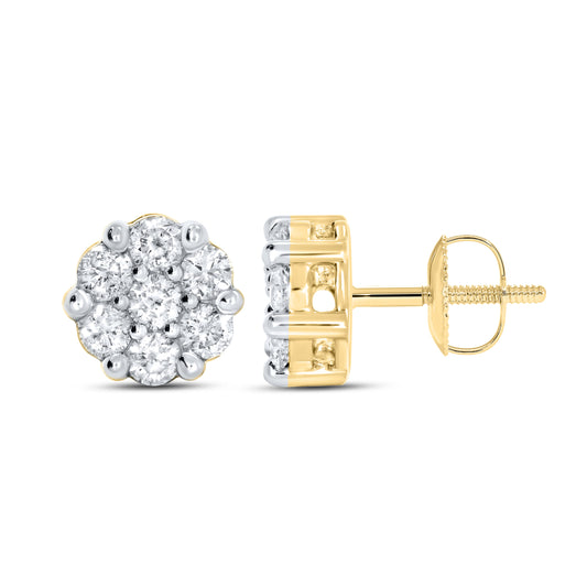 10kt Yellow Gold 1 CTW Natural Diamond Earrings