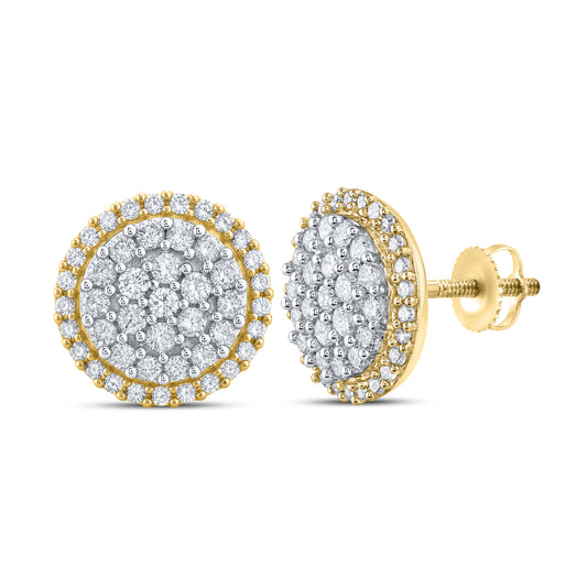 10kt Yellow Gold 0.86 CTW Natural Diamond Earrings