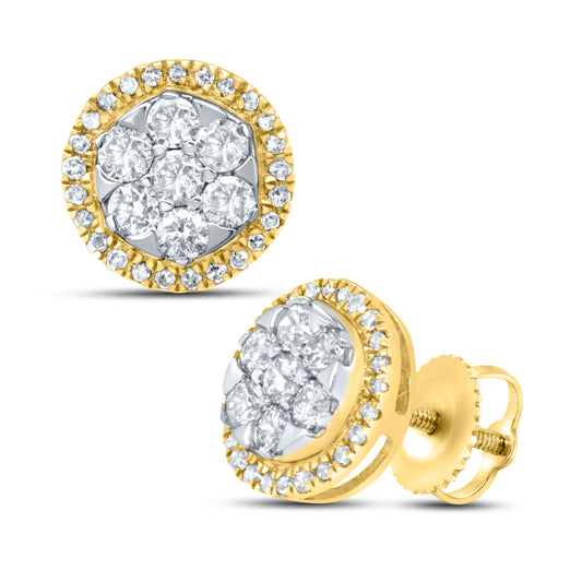 10kt Yellow Gold 0.74 CTW Natural Diamond Earrings