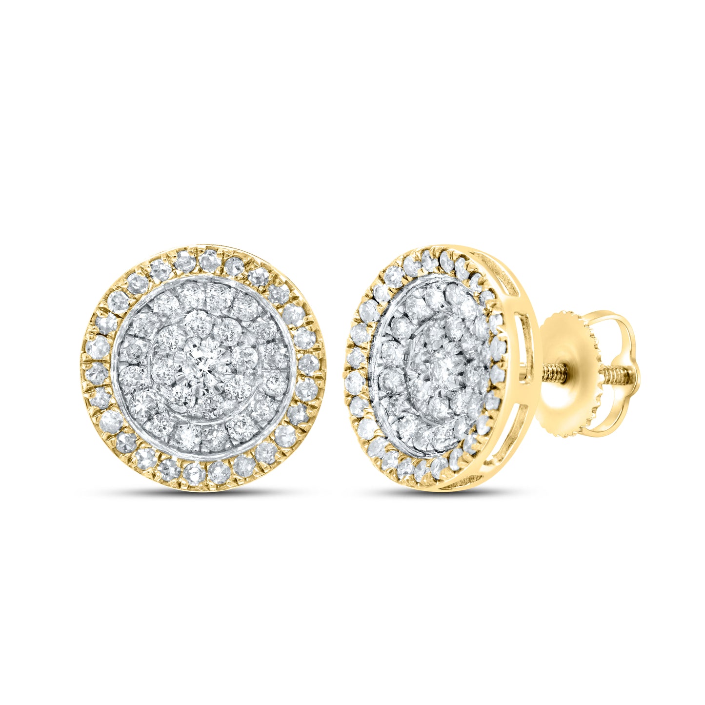 10kt Yellow Gold 0.96 CTW Natural Diamond Earrings