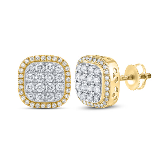 10kt Yellow Gold 0.79 CTW Natural Diamond Earrings