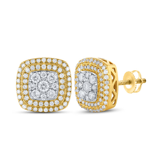 10kt Yellow Gold 0.77 CTW Natural Diamond Earrings