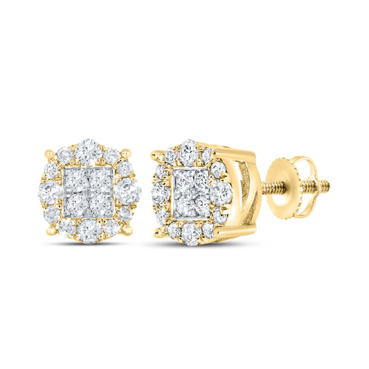 10kt yellow gold 0.33ctw Diamond Earrings