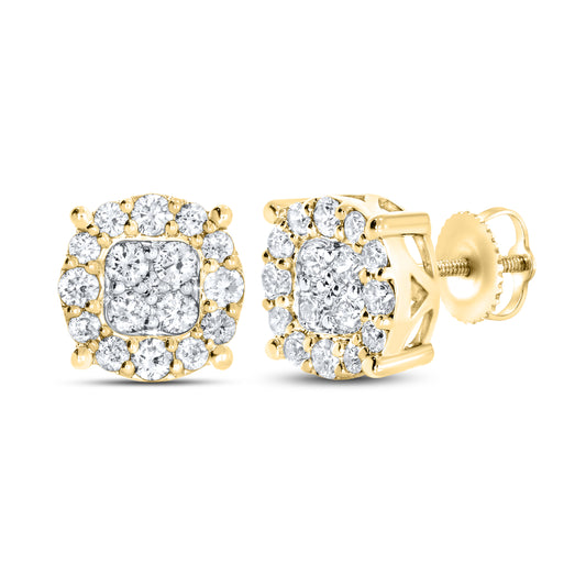 10kt Yellow Gold 0.76 CTW Natural Diamond Earrings