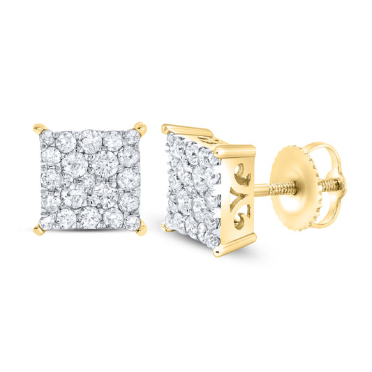 10kt Yellow Gold 0.72 CTW Natural Diamond Earrings