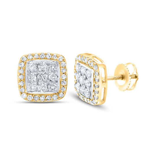 10kt Yellow Gold 0.94 CTW Natural Diamond Earrings