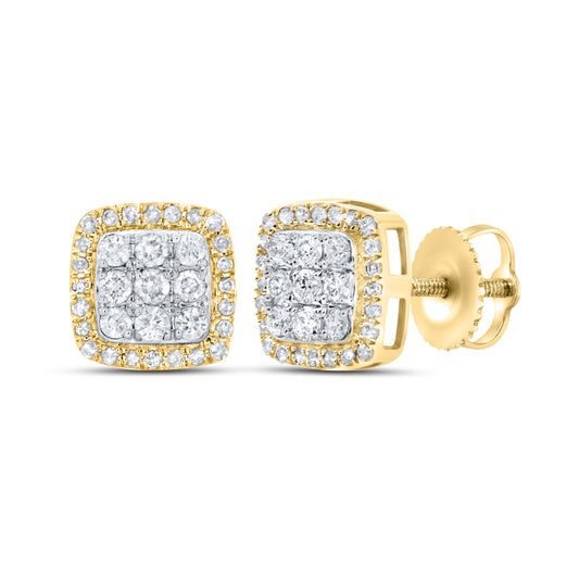 10kt yellow gold 0.48ctw Diamond Earrings