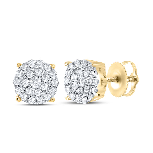 10kt Yellow Gold 0.22 CTW Natural Diamond Earrings