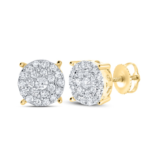 10kt Yellow Gold 0.95 Natural Diamond Earrings