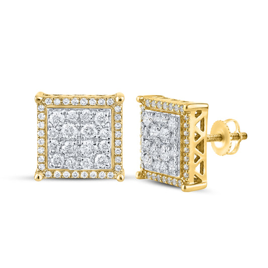 10kt Yellow Gold 0.85 CTW Natural Diamond Earrings