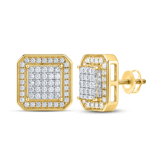 10kt Yellow Gold  0.94 CTW Natural Diamond Earrings