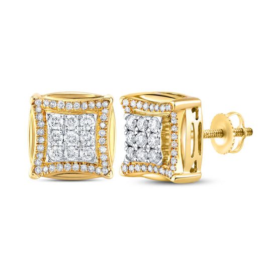 10kt Yellow Gold 0.47 CTW Natural Diamond Earrings