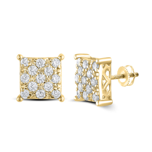 10kt Yellow Gold 0.95 CTW Natural Diamond Earrings