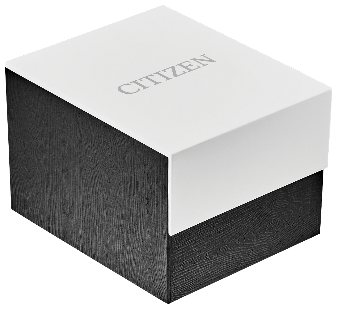 Citizen Quartz Mens Two Tone Stainless Steel Bracelet Watch Bf2005-54l