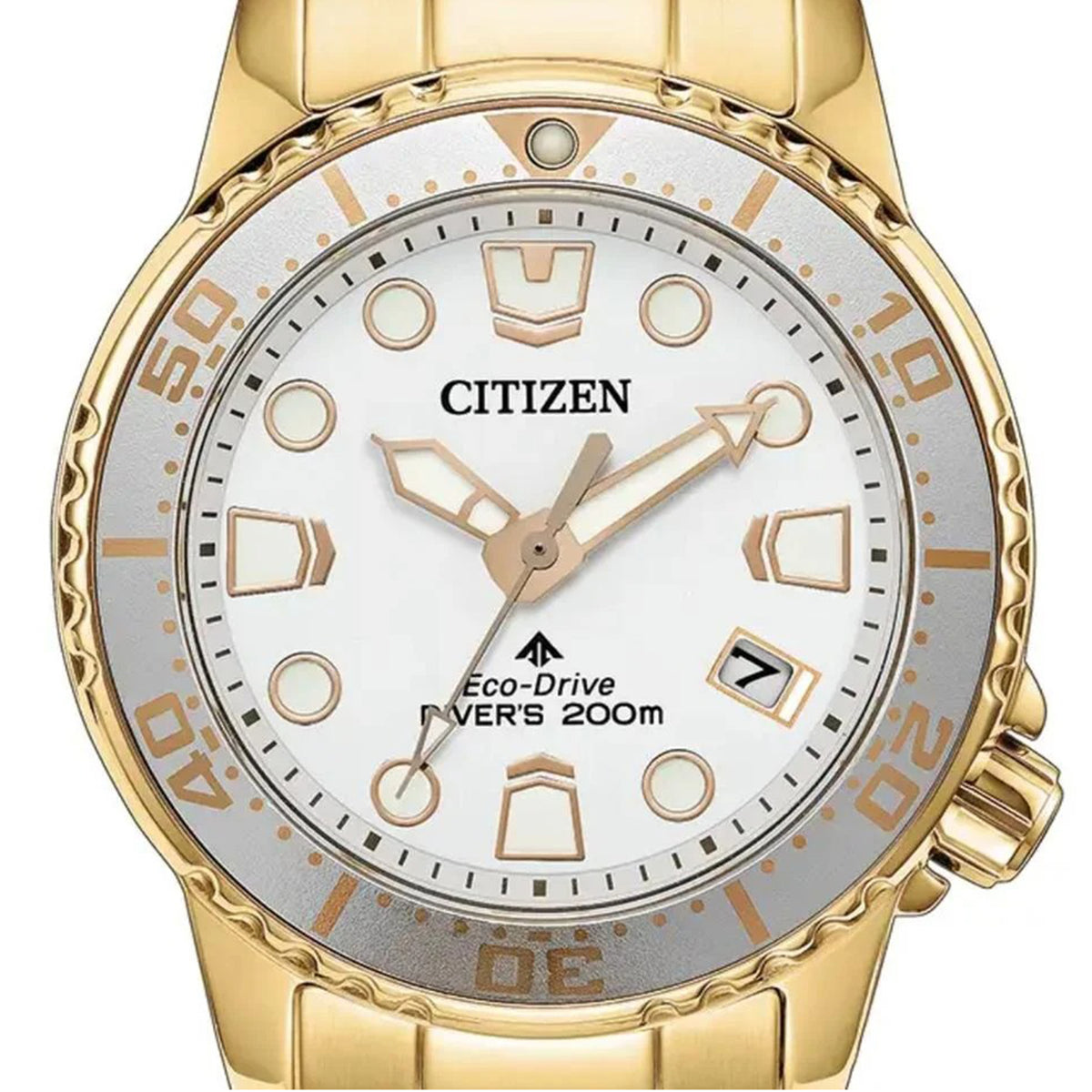 Citizen Promaster Dive  Unisex Solar Watch EO2029-54A
